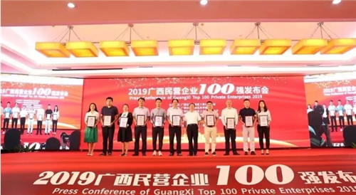 点赞！扬翔入选“2019广西民营企业100强”第17名