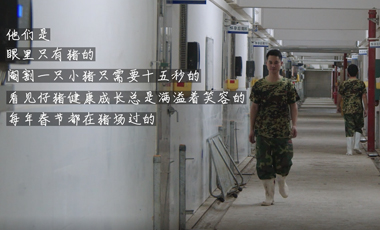 home is where the pig farm is（一）