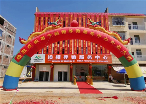 南宁和玉林！又两家扬翔养猪服务中心开张，将辐射到这些地方