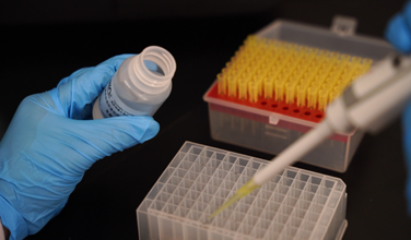 pig farm antibody testing, water quality testing