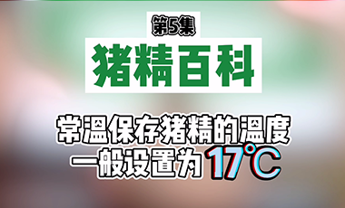  【猪精百科】常温保存猪精的温度一般设置为17℃，为什么？