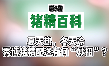 【猪精百科】夏天热，冬天冷！秀博猪精配送有何“妙招”？李博士来解答！