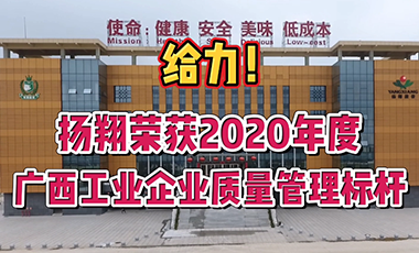  强！扬翔荣获“2020年度广西工业质量管理标杆”称号！名列评审第一位！