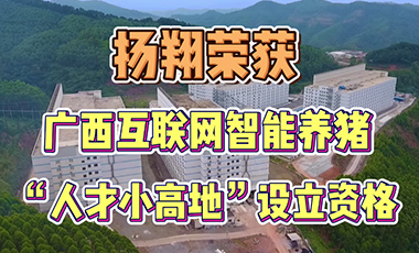 扬翔荣获广西互联网智能养猪“人才小高地”设立资格