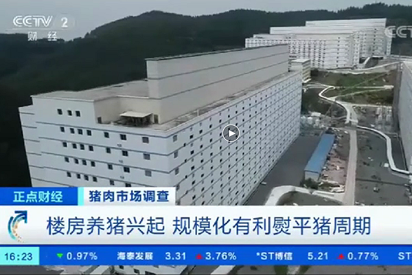 amazing! yangxiang’s multi-floor pig farm on china central television again