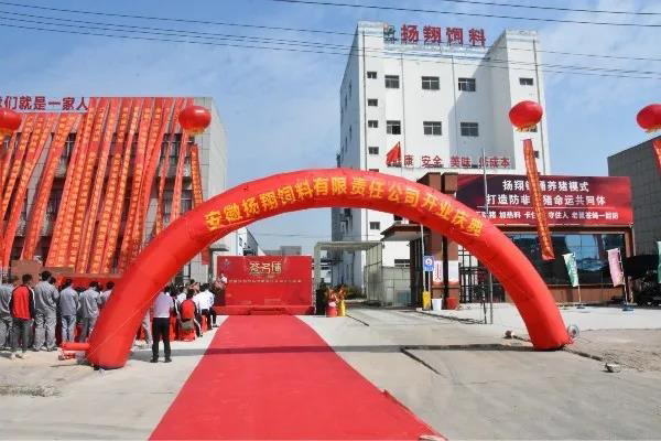 yangxiang feed mill in anhui start business, with service ability for over 20,000 sows 