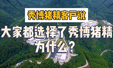 大家为什么都选择了秀博猪精？听听猪场老板们怎么说！