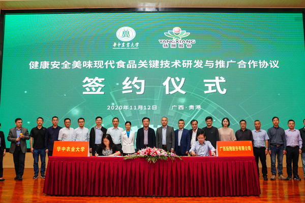 a new chapter of the cooperation between huazhong agricultural university and yangxiang, joint efforts to advance pig industry upgrading