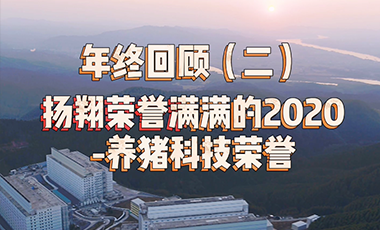 扬翔荣誉满满的2020-养猪科技荣誉！年终回顾（二）