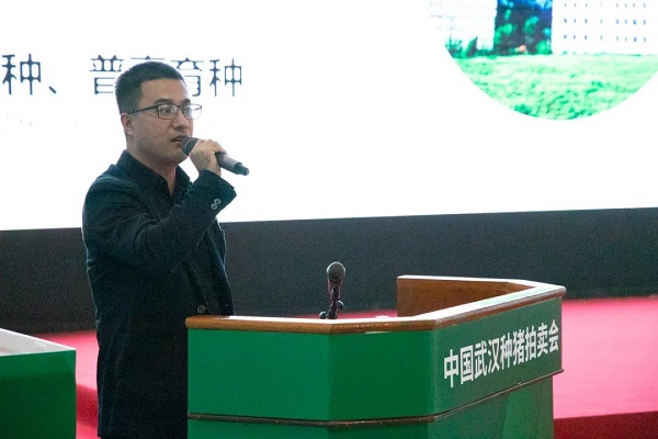 with support of technology and intelligent breeding system, yangxiang becomes more outstanding in pig breeding.