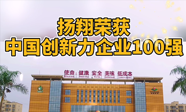 扬翔获评“2020中国创新力企业100强”称号！