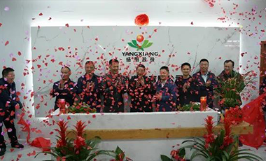 congratulations! hunan yangxiang agriculture and animal husbandry new headquarters unveiled!